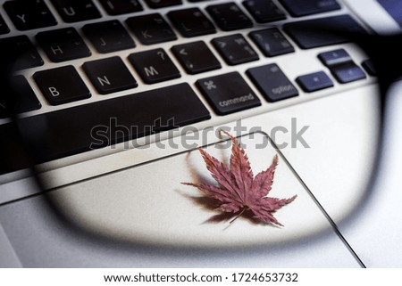Close up image.Dry leaves on the laptop.