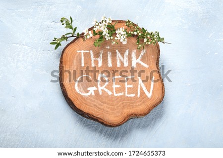 Environmentally friendly planet concept. Nature Think Green and  Ecology Concept. Eco Friendly Lifestyle. Flat lay. Top view