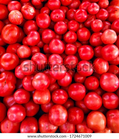 fresh red small tomatoes on the market 