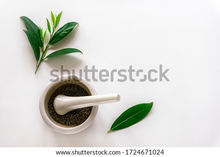 Fresh tree leaves, mortar and pestel on white background, top view, copy space. Natural handmade cosmetics concept Royalty-Free Stock Photo #1724671024