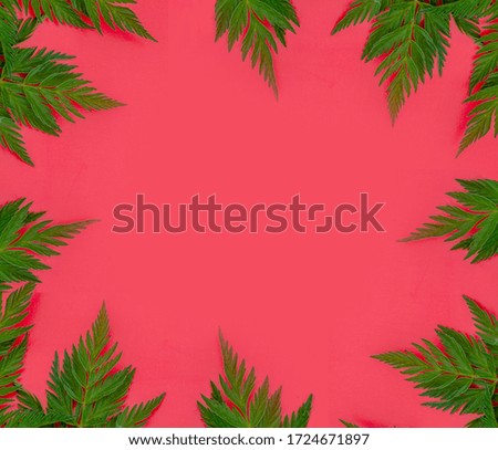 spring background. frame of beautiful carved leaves on the pink background