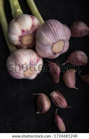 artistic picture of garlic on a dark background. A few heads of garlic with garlic cloves arranged next to itv
