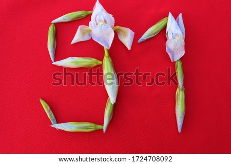 Number 91 written by fresh iris flowers on a red background. Number ninety one written in fresh flowers isolated on red. 