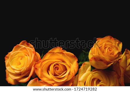 Bouquet of beautiful yellow roses close up on dark background. Abstract backdrop for seasonal cards, posters, blogs and web design. Romantic and love concept. Top view. Copy space