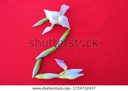 Number 2 written by fresh iris flowers on a red background. Number two written in fresh flowers isolated on red. 