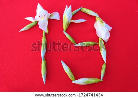 Number 19 written by fresh iris flowers on a red background. Number 
nineteen written in fresh flowers isolated on red. 