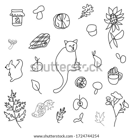 Autumn set with cat,mushrooms,leaves,cappuccino, squirrel,plaid,fern,jar with jam,mandarin,pear, firewood,sunflower.Clip art black line in doodle style. Design for card,packages,web.
