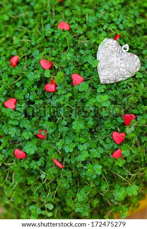 Silver hearts on the green grass as background, selective focus