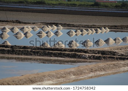 Picture of salines in Kampot (Cambodia)