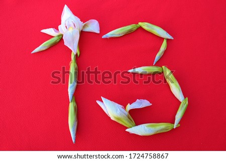 Number 13 written by fresh iris flowers on a red background. Number thirteen written in fresh flowers isolated on red. 