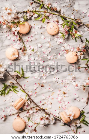 Flat-lay of sweet macaron cookies and white spring blossom flowers over white marble background, top view, copy space