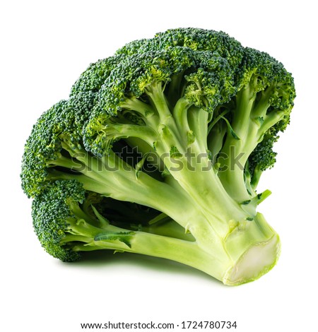 Tasty Healthy Nutritious Farm Fresh raw Garden big swing broccoli cabbage isolated on a white background Royalty-Free Stock Photo #1724780734