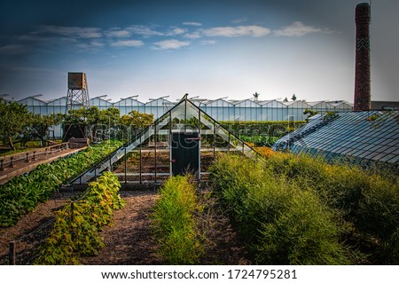 Old type of greenhouse or glasshouse if you like. In the 60´s this was a very modern type of greenhouse. On this photo a nice scene is created with the sky, clouds, old chimney and water reservoir.