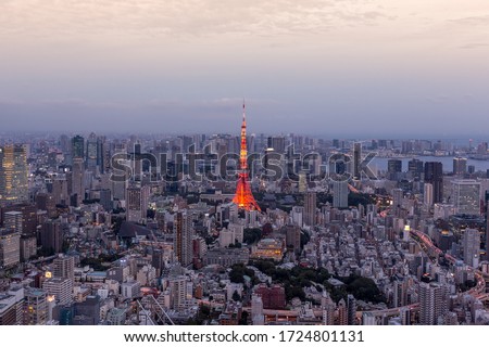 Tokyo skyline and TV Tower at night, Tokyo, Japan 