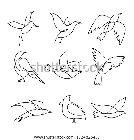 Birds continuous line drawing elements set isolated on white background. Vector illustration.