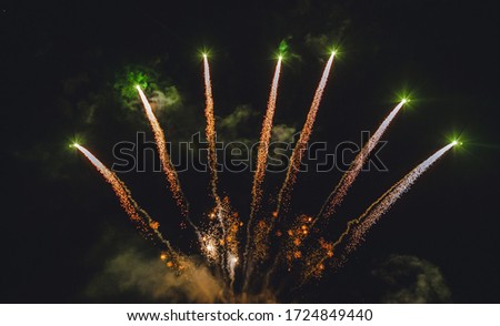 Bright colorful festive fireworks on the black sky