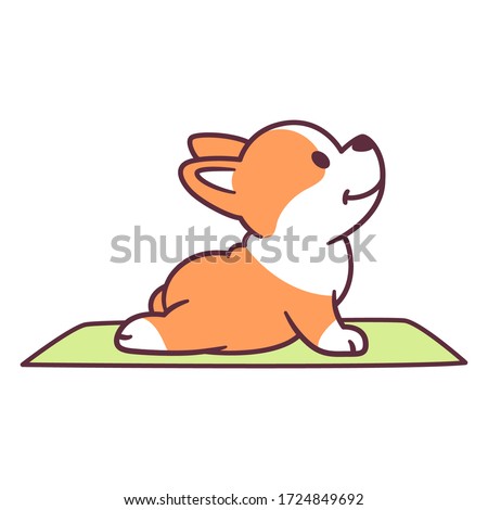 Cute cartoon dog doing yoga. Adorable little corgi puppy in Upward Facing Dog posture (Urdhva Mukha Shvanasana). Funny vector clip art illustration.
