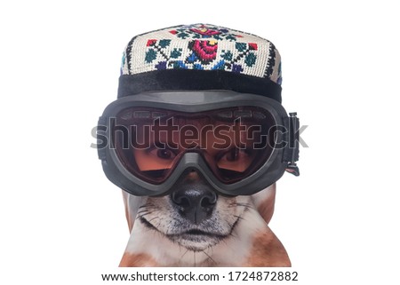 The head of man in a beautiful multicolored tube with flowers and a black protection goggles and in a half-mask with an image of a dog muzzle on a white background