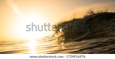 Beautiful waves breaking in a 