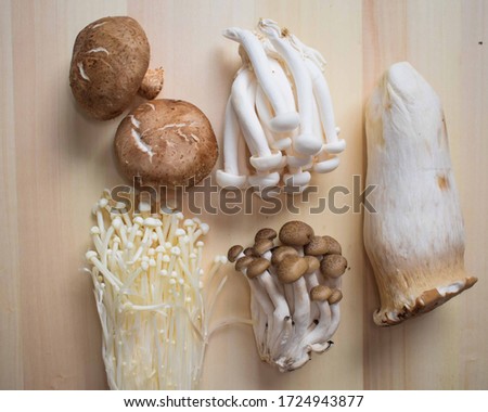 Various types of mushroom that consist of portobello mushrooms, enoki, brown and white honshimeji mushroom and a king oyster mushroom on a wooden texture background
