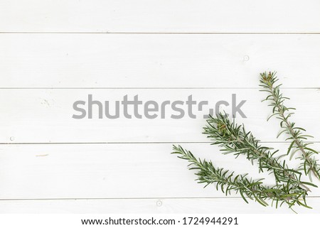 Rosemary branches white background healthy food concept.