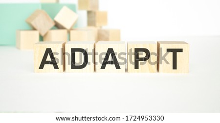 Wooden blocks with the text: ADAPT on cubes