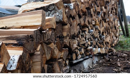 the pile of firewood. birch, pine, oak