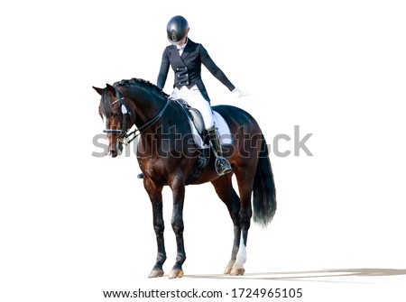 Equestrian sport - dressage rider portrait isolated on white Royalty-Free Stock Photo #1724965105