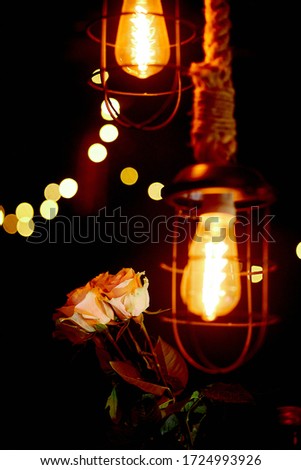 Lamp lighting in the bar. From the ceiling, incandescent light bulbs hang on metal-framed ropes. Cozy light shines, pink roses presented.