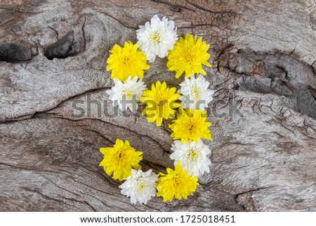 Number nine is written from fresh flowers on wooden background.