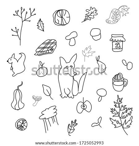 Autumn set with corgi dog,mushrooms,leaves,cappuccino, squirrel,plaid,fern,jar with jam,mandarin,pear, firewood,sunflower.Clip art black line in doodle style. Design for card,packages,web.