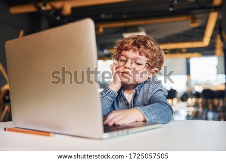 Smart child in casual clothes and in glasses using laptop for education purposes.