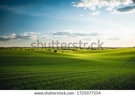 Splendid aerial photography of green wavy field in sunny day. Top view drone shot. Agricultural area of Ukraine, Europe. Concept of agrarian industry. Artistic wallpaper. Beauty of earth.