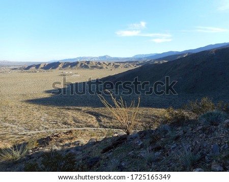 View of Palm Canyon in the Anza Borrego Desert in the late afternoon.