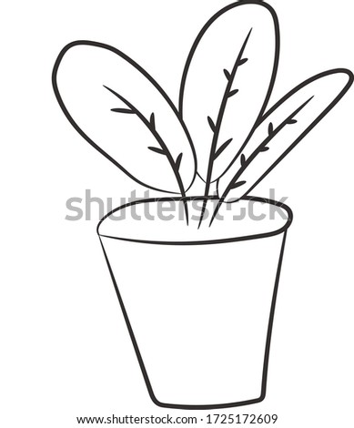 Single plant in a pot  on a white background, hand drawing. Isolated. For print, card, site, poster.