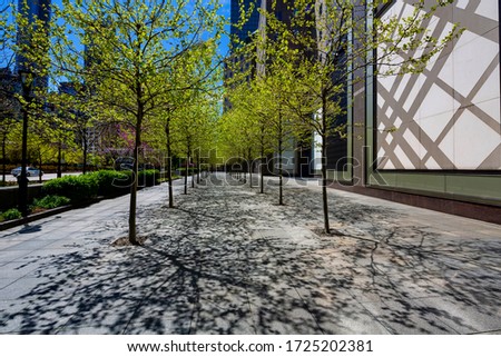 Walkway in downtown Manhattan at spring.