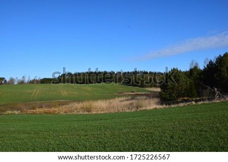 Picturesque landscape with beautiful forest. Stock Photo