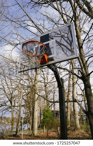 Old Basketball Hoop in a park