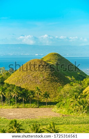 View of Chocolate Hills in Bohol. Base flanked by coconut trees and fields of green. Mid afternoon shot with Cebu in far background Royalty-Free Stock Photo #1725316561