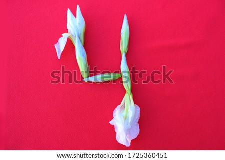 Number 4 written by fresh iris flowers on a red background. Number four written in fresh flowers isolated on red. 