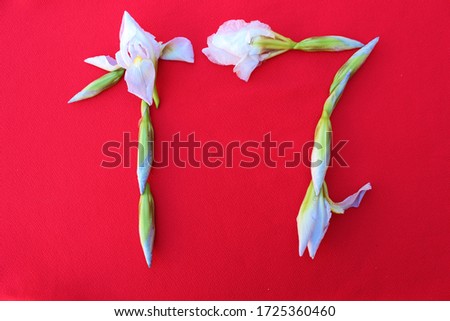 Number 17 written by fresh iris flowers on a red background. Number 
seventeen written in fresh flowers isolated on red. 