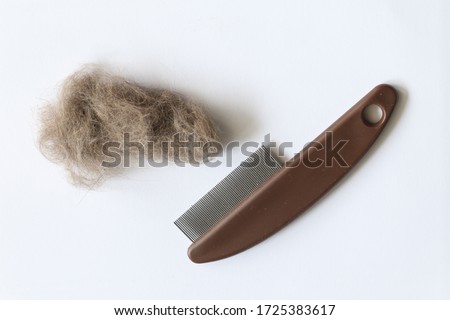 Cat and dog brushes comp with a scrap pet hair. Take care of pets. Causes of allergies. Royalty-Free Stock Photo #1725383617