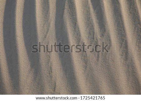 sandy texture with shadows and winds waves