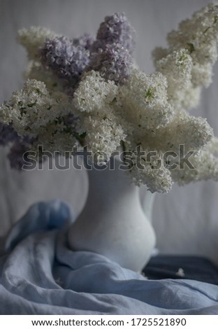 White vase with a white lilac flowers on the soft blue background