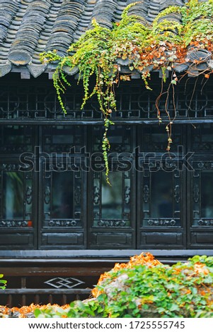 Beautiful fresh foliage on the background of Chinese traditional architecture.