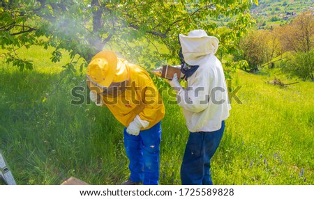 Bees are attacking the beekeeper. The beekeeper tries to calm the bees with the help of smoke