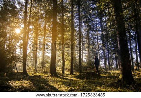 Man in forest in morning sunrise