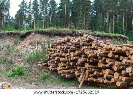 Wood timber logs in pile at sawmill. Timber harvesting for lumber industry and wooden housing construction.