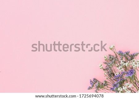 Flowers (violet and white gypsophila) on the pink paper background in a corner. Space for text, copy space.