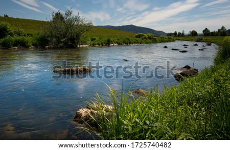 The Kinzig river near Biberach in the black forest in germany Royalty-Free Stock Photo #1725740482